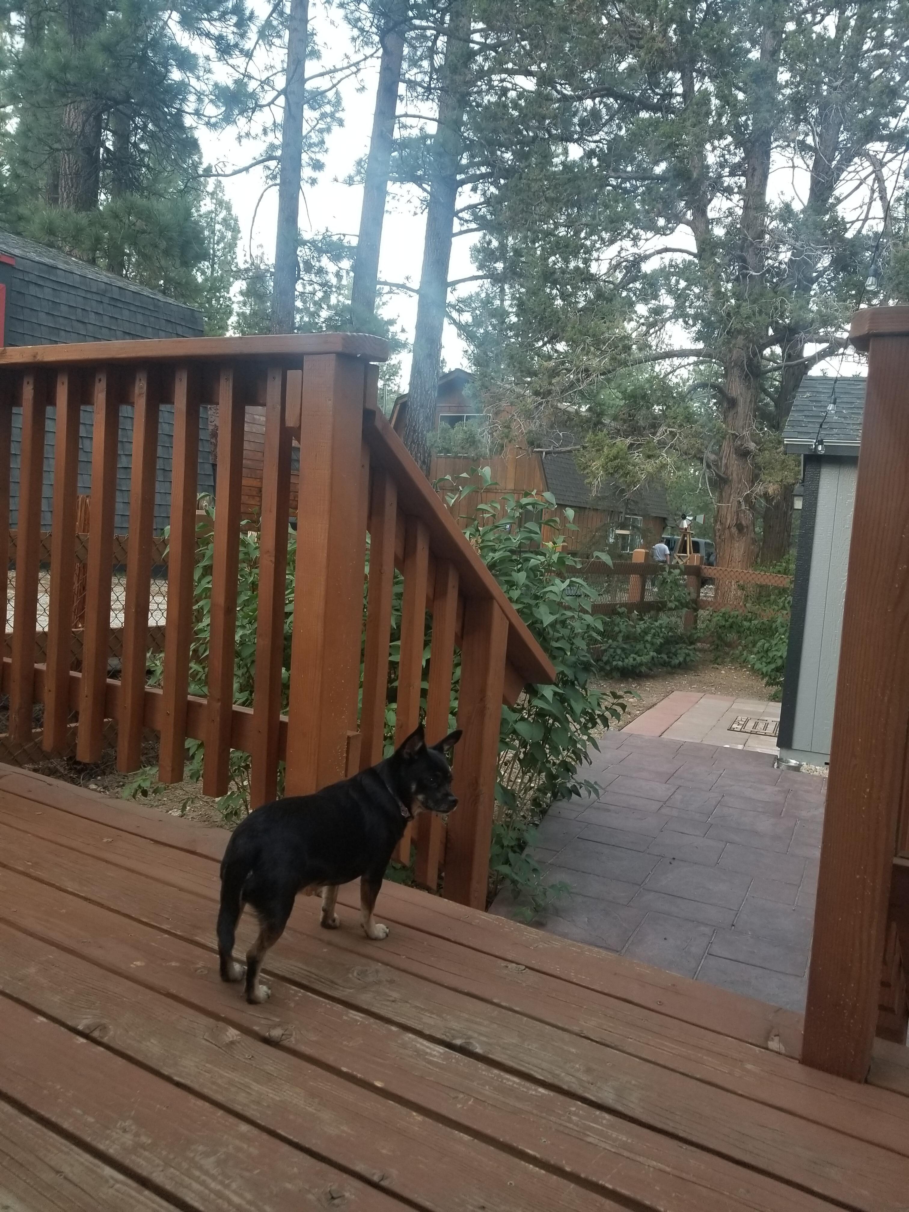 Our favorite place, the deck off the bedroo.