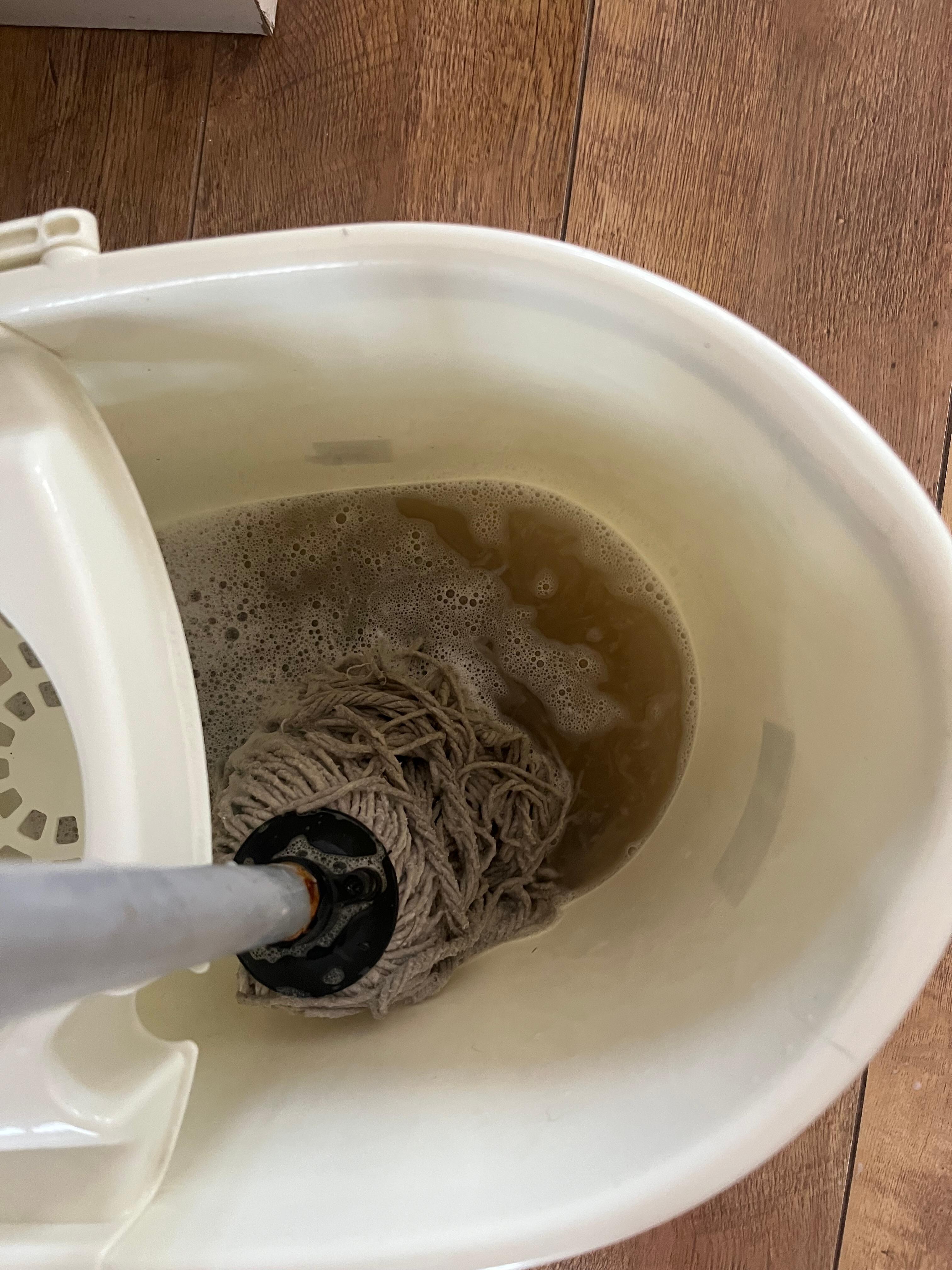Water after i mopped the laminage flooring!