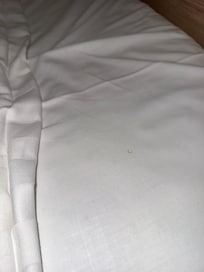 The bed had hair