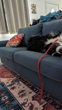 Lounging.