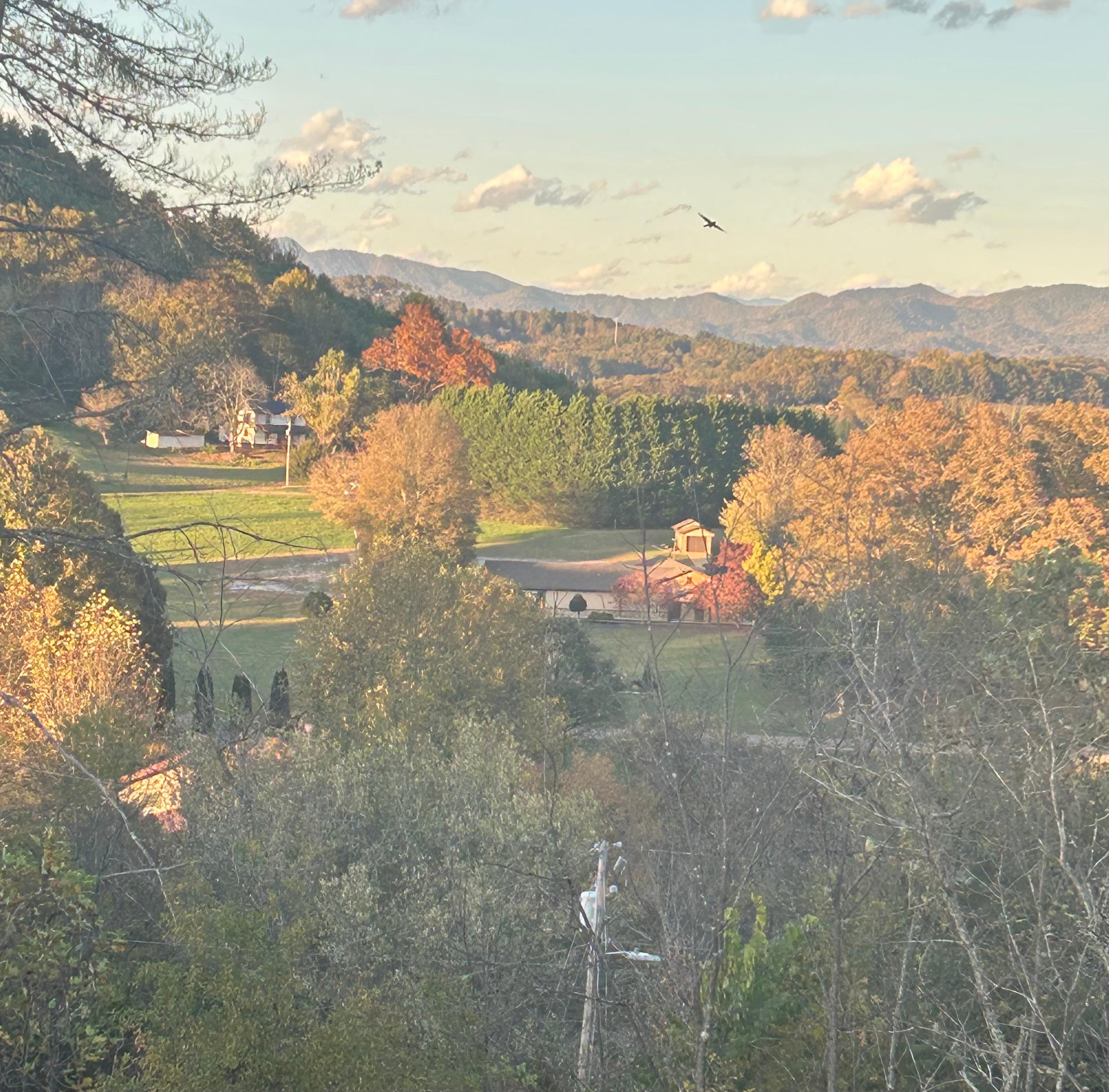 View from the porch at sunset.