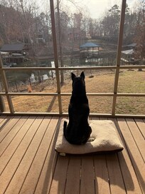 Great screened lanai