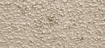 Mold on bathroom ceiling.