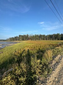 View from the road