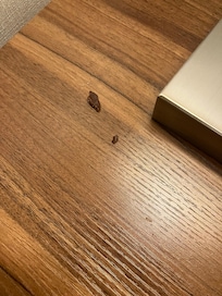 Chocolate on bedside table