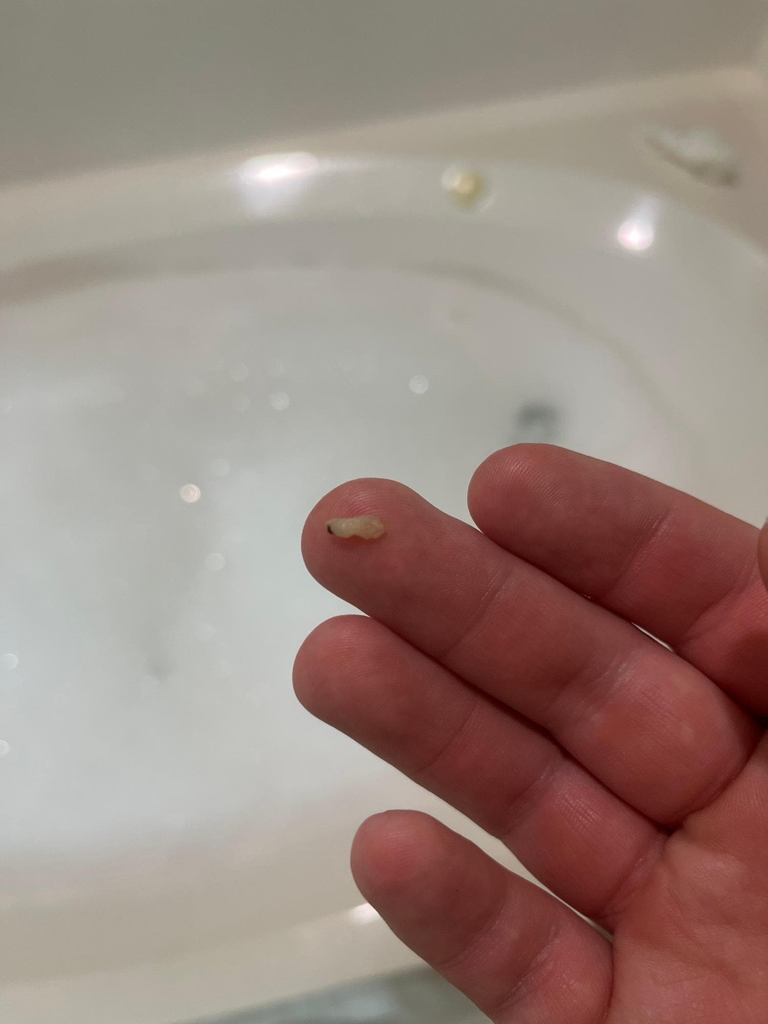 Possible ant bait hidden behind a towel. 