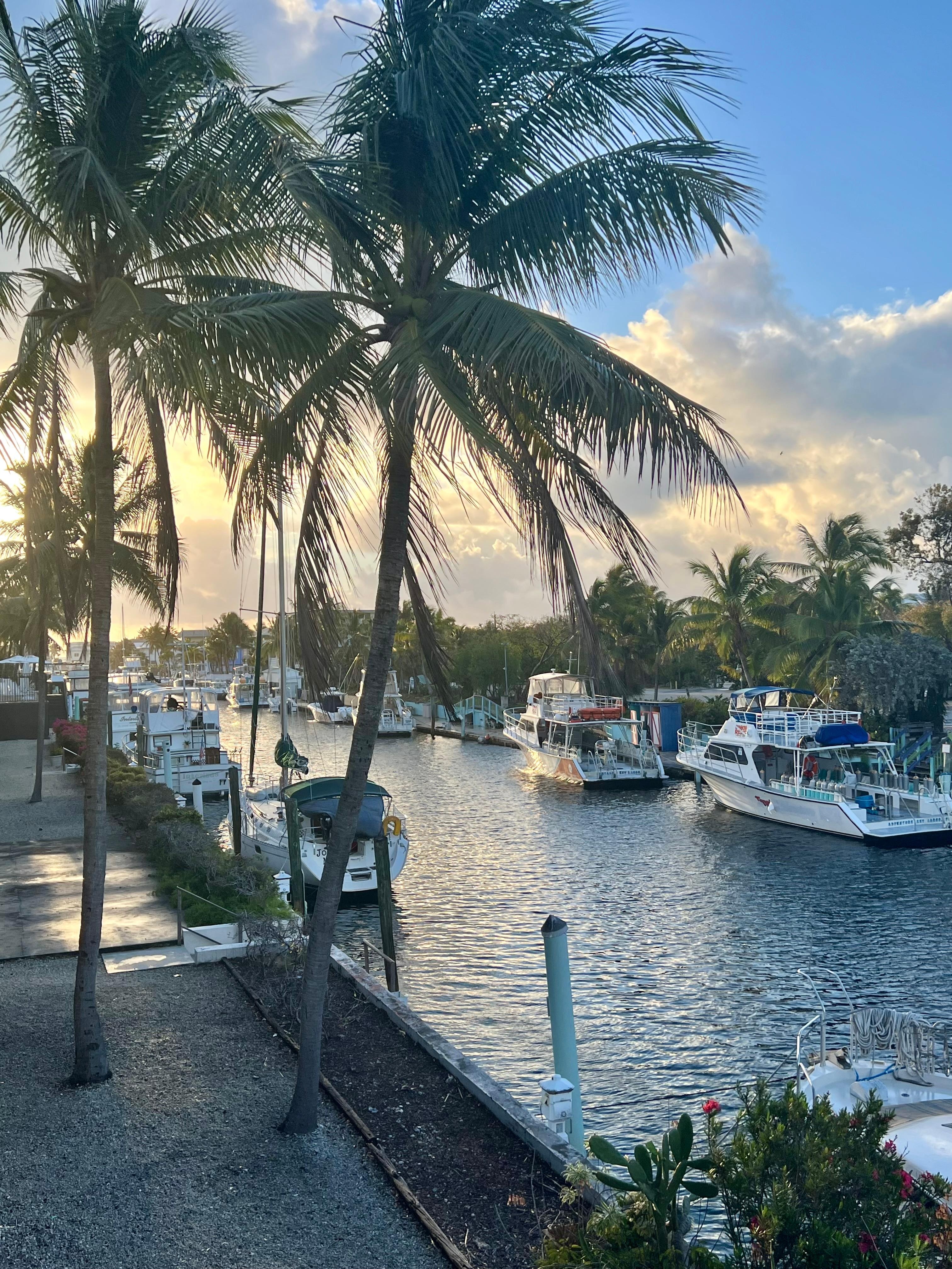 View from the balcony.