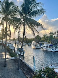 View from the balcony.