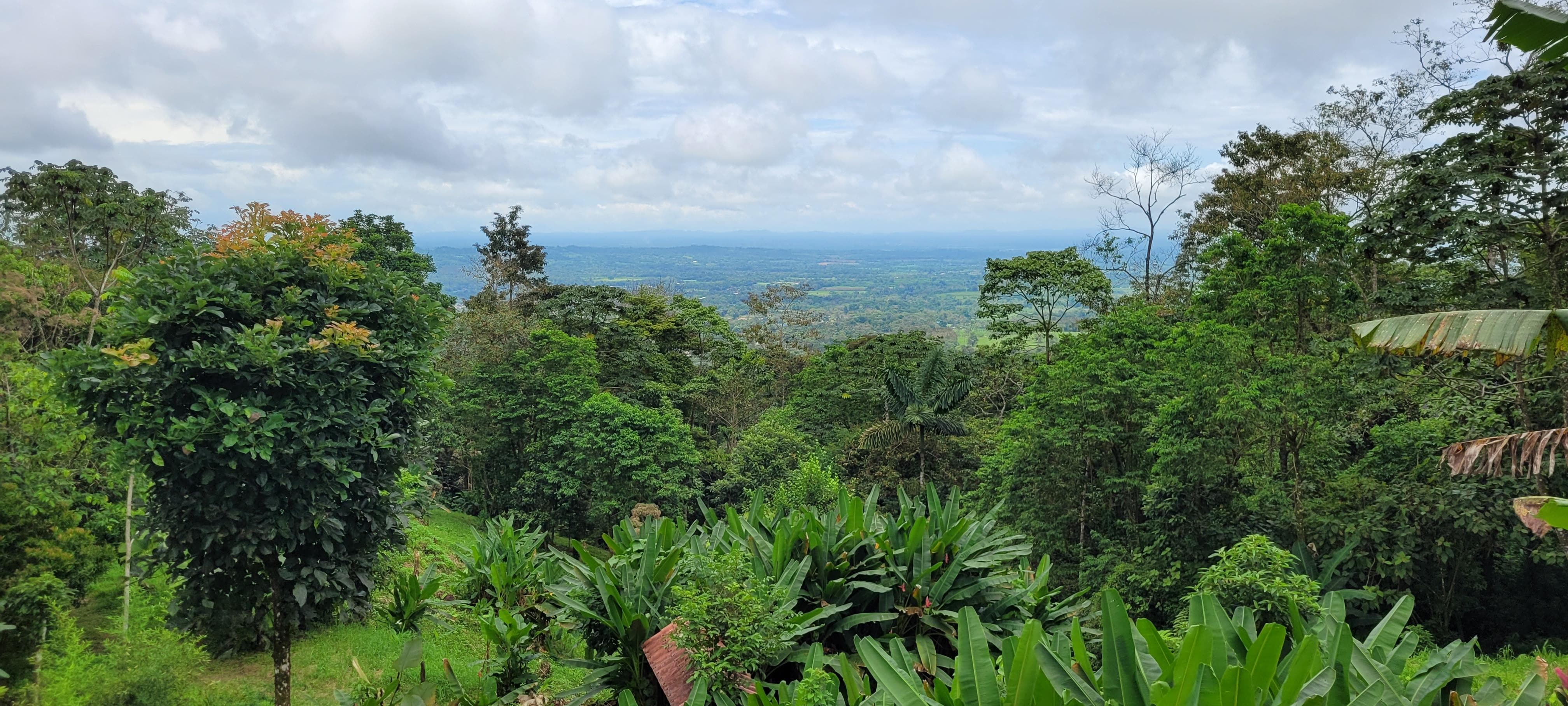View from road going to villa