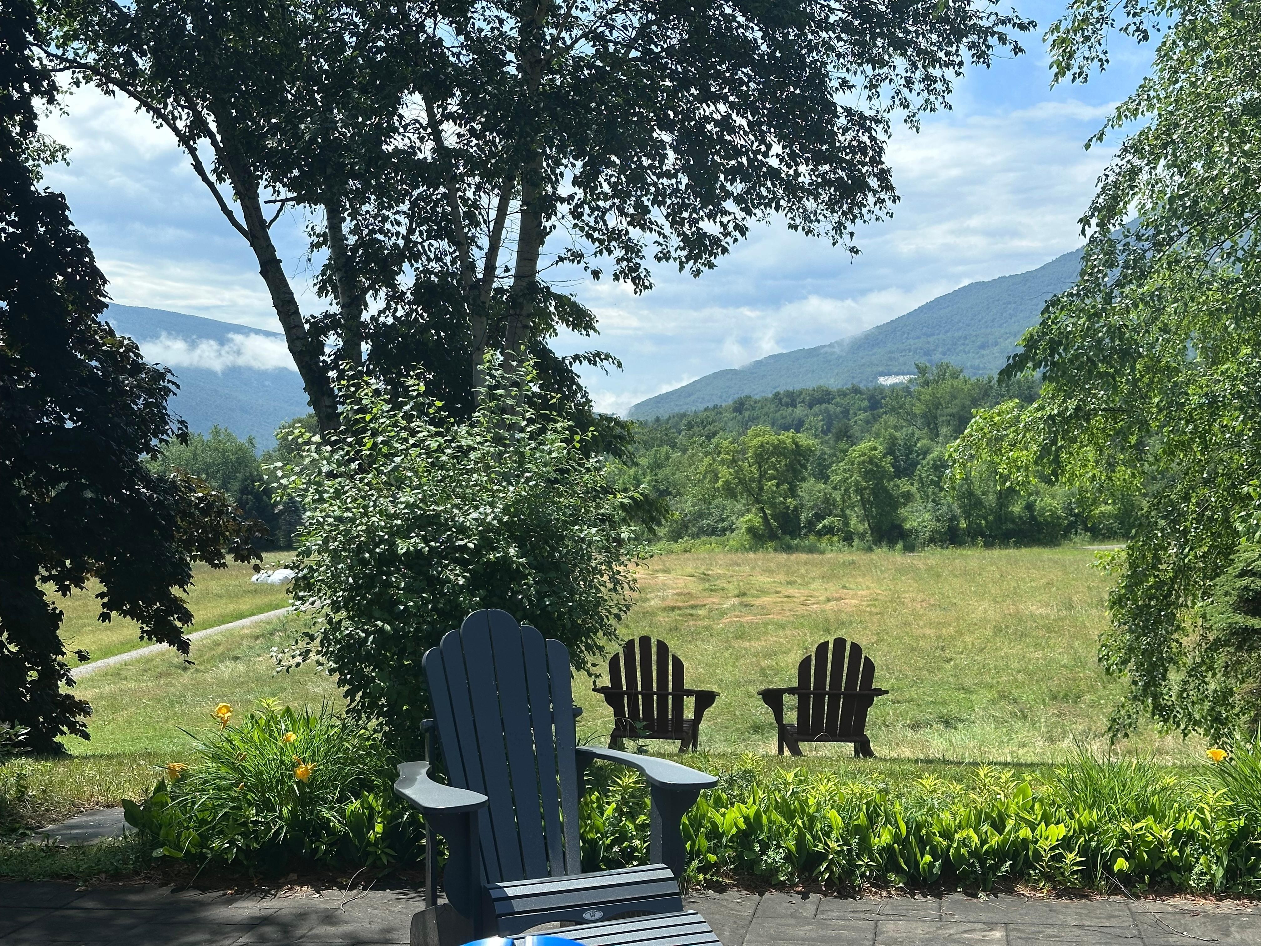 View looking out on the hill