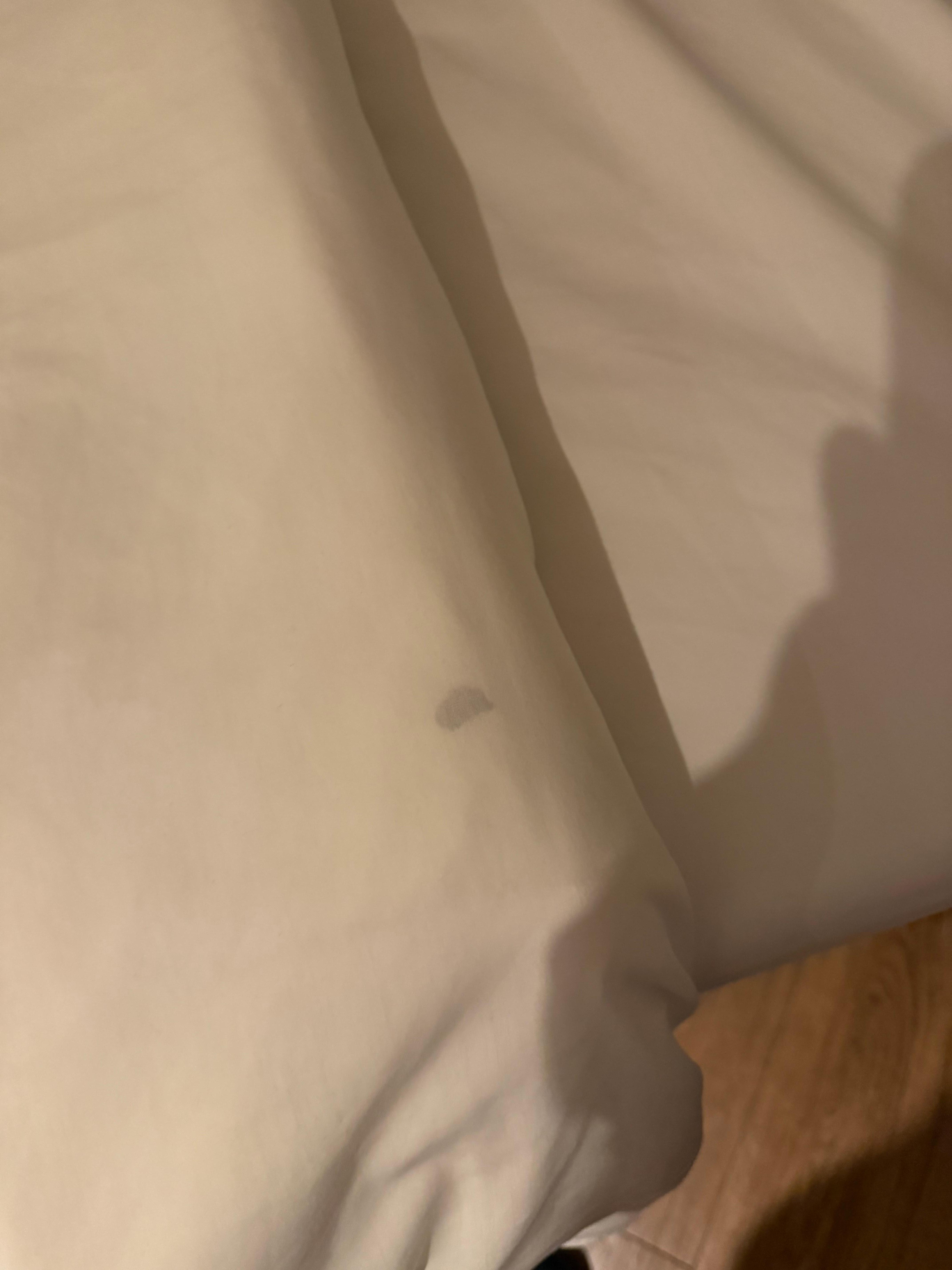 Blood stain on the sheet