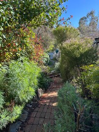 Cottage garfen