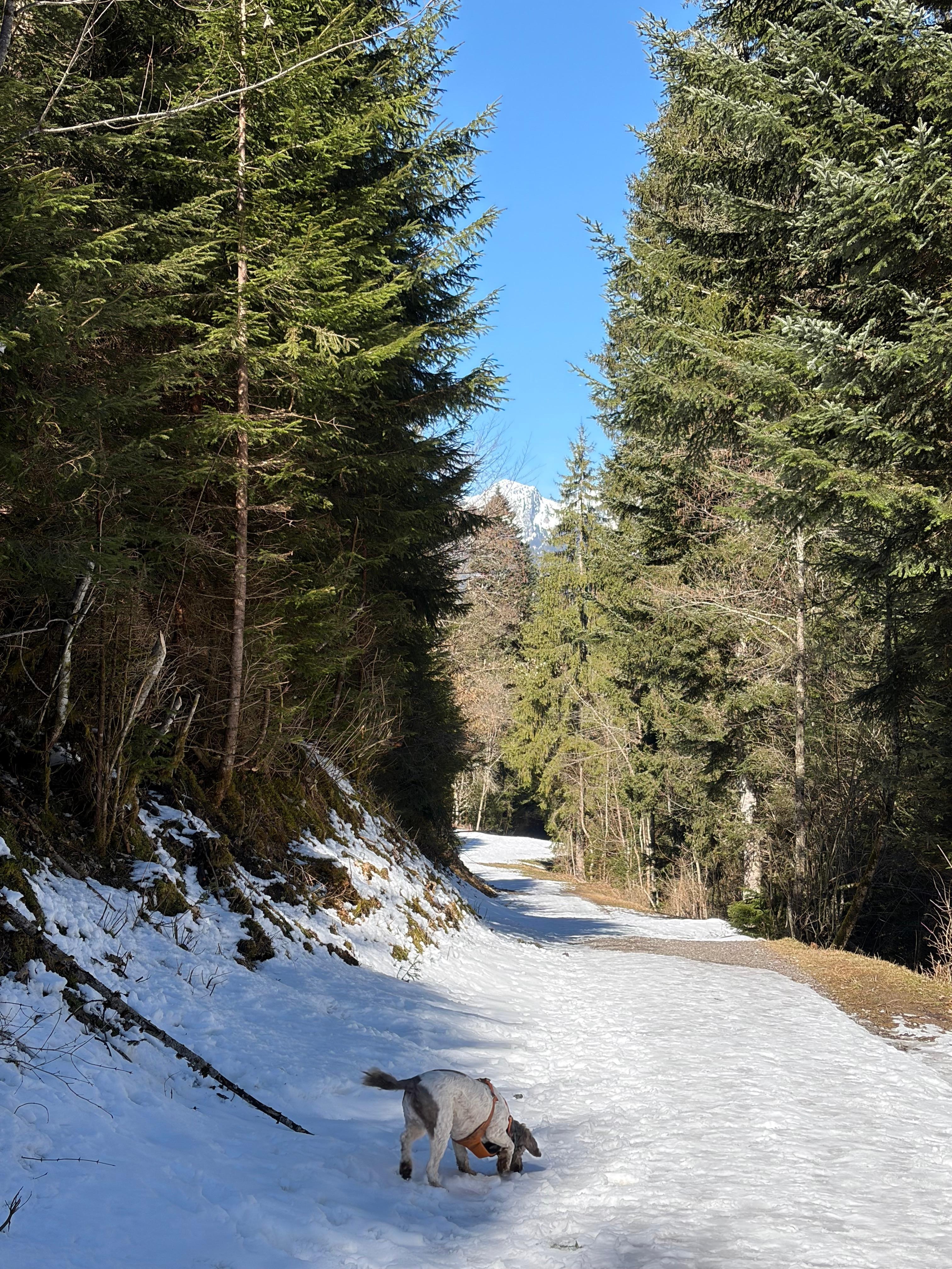 Walking behind the chalet