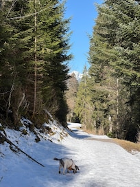Walking behind the chalet