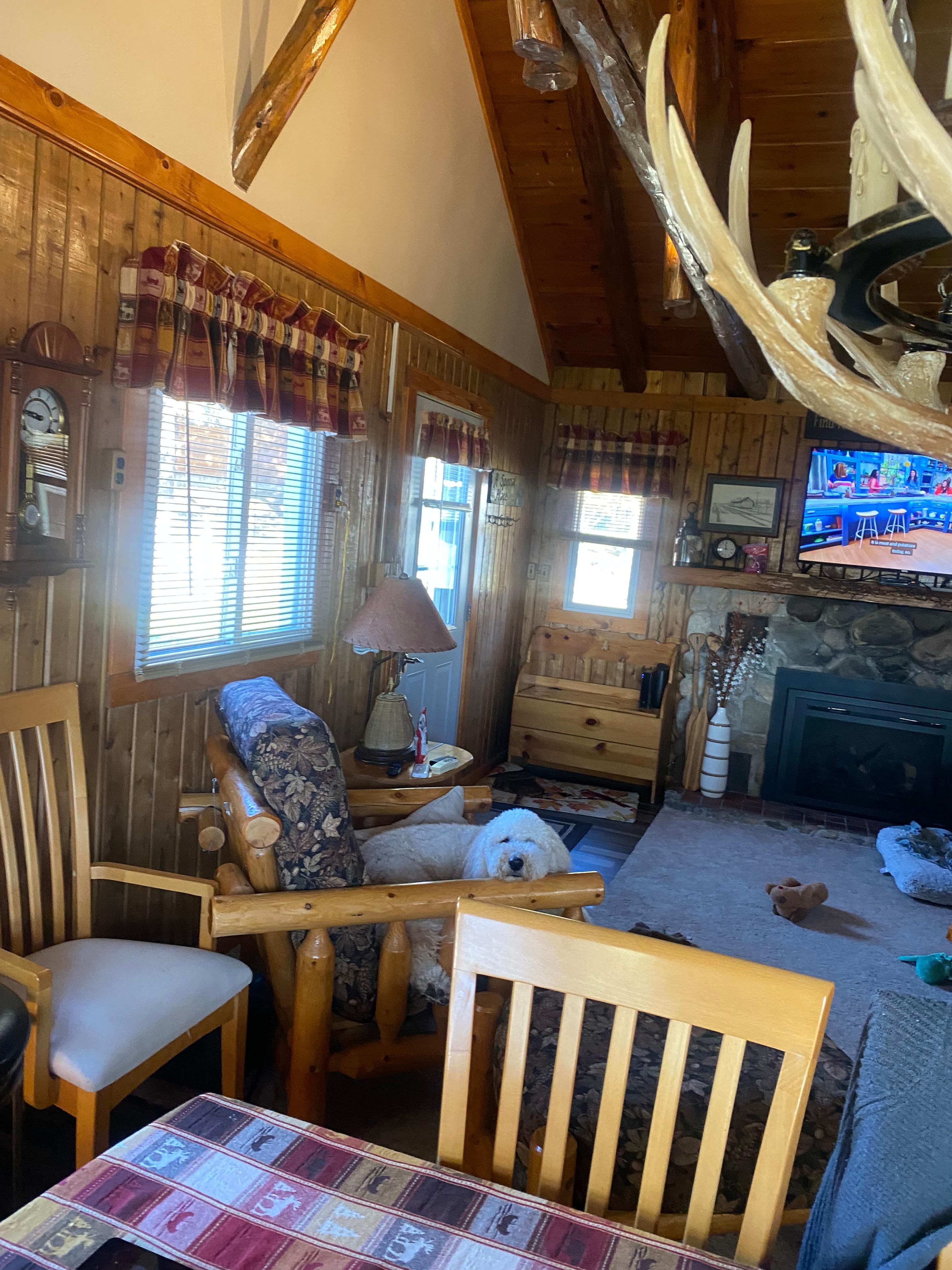 Golden Doodle seal of approval!