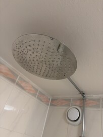Shower head filthy