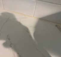 There were different kinds of ants. Some a lighter color and tiny. Hard to photograph.