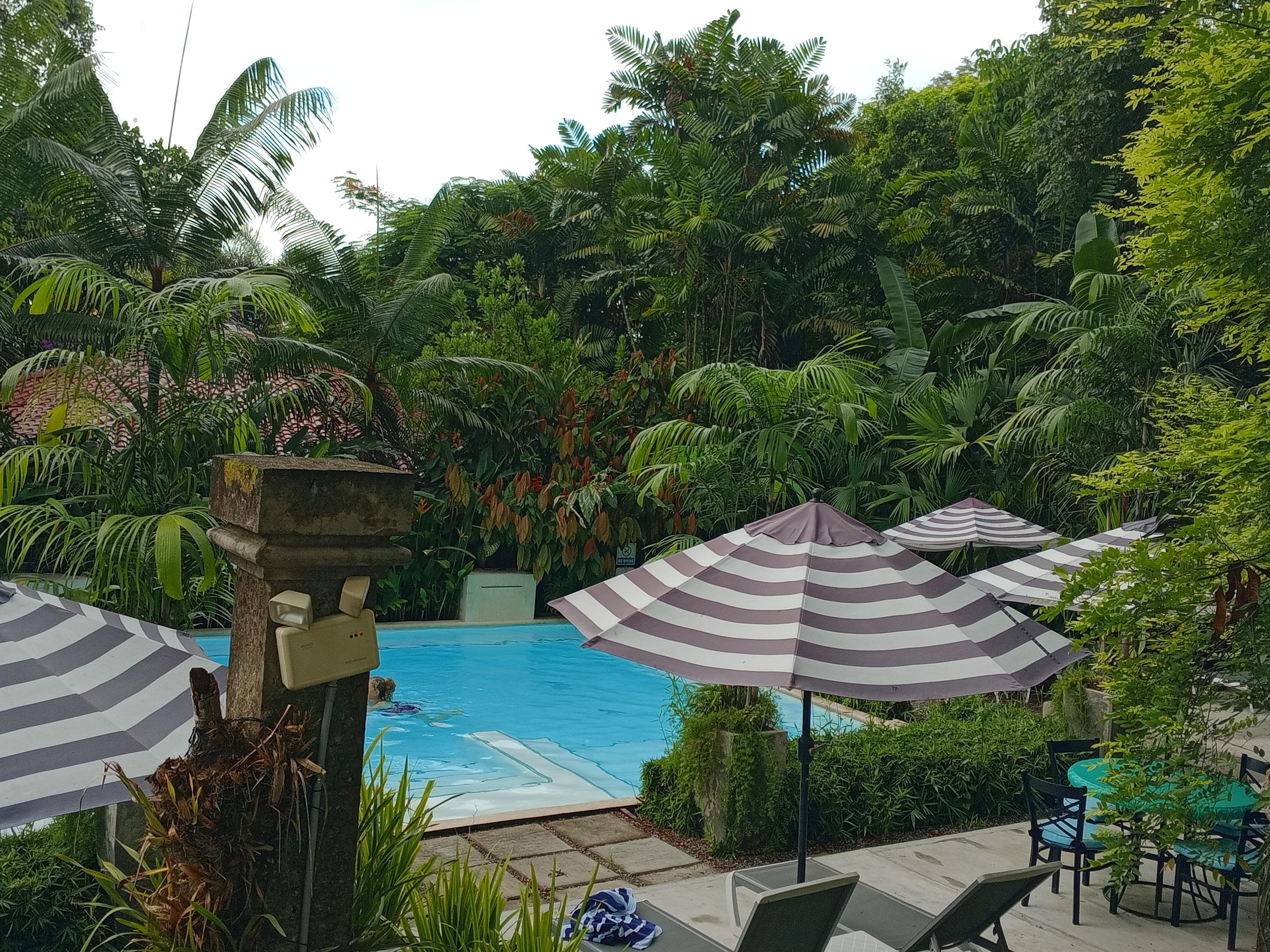 View from Cabin