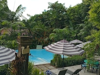 View from Cabin