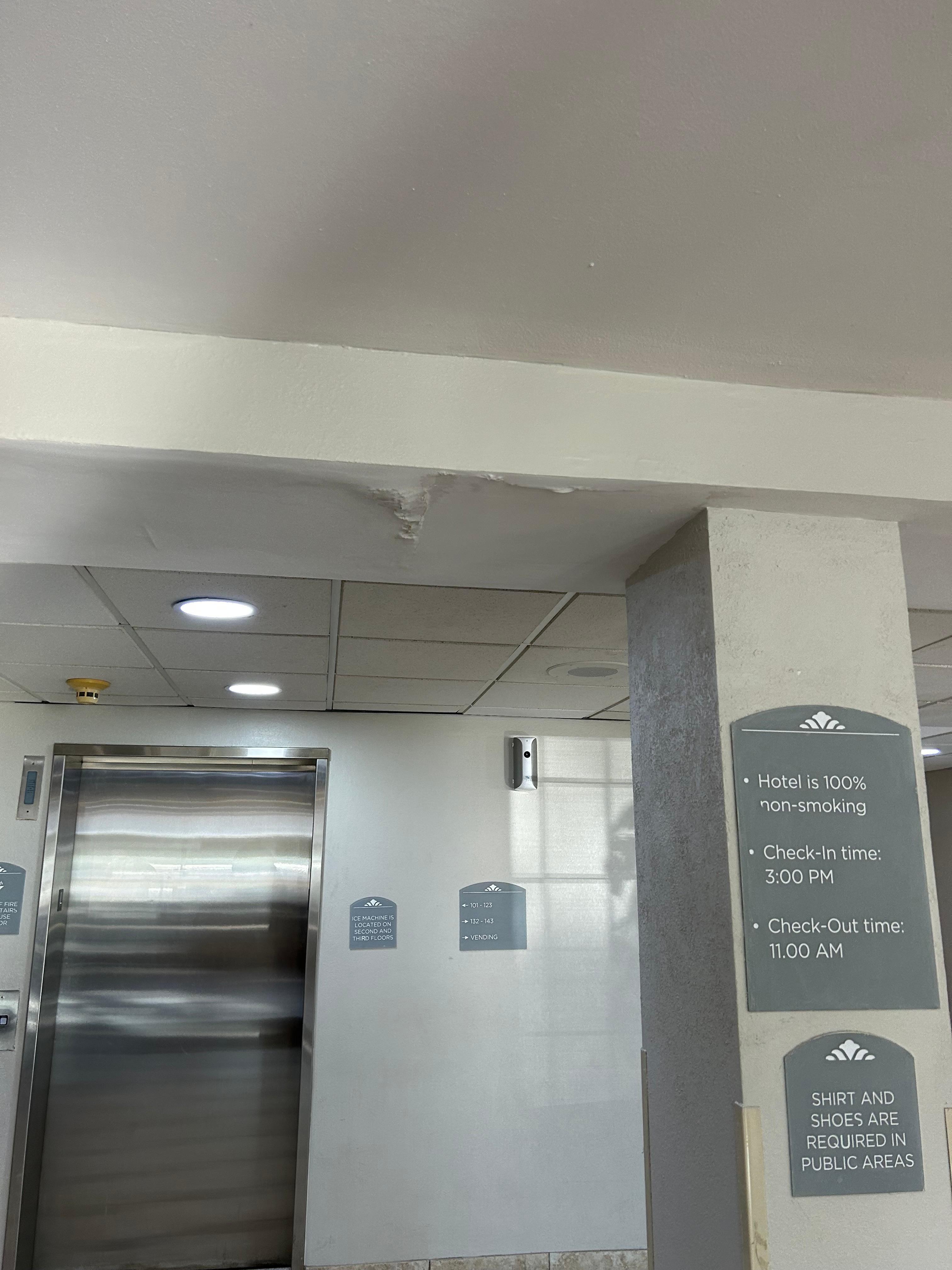 Leaky/moldy ceilings 