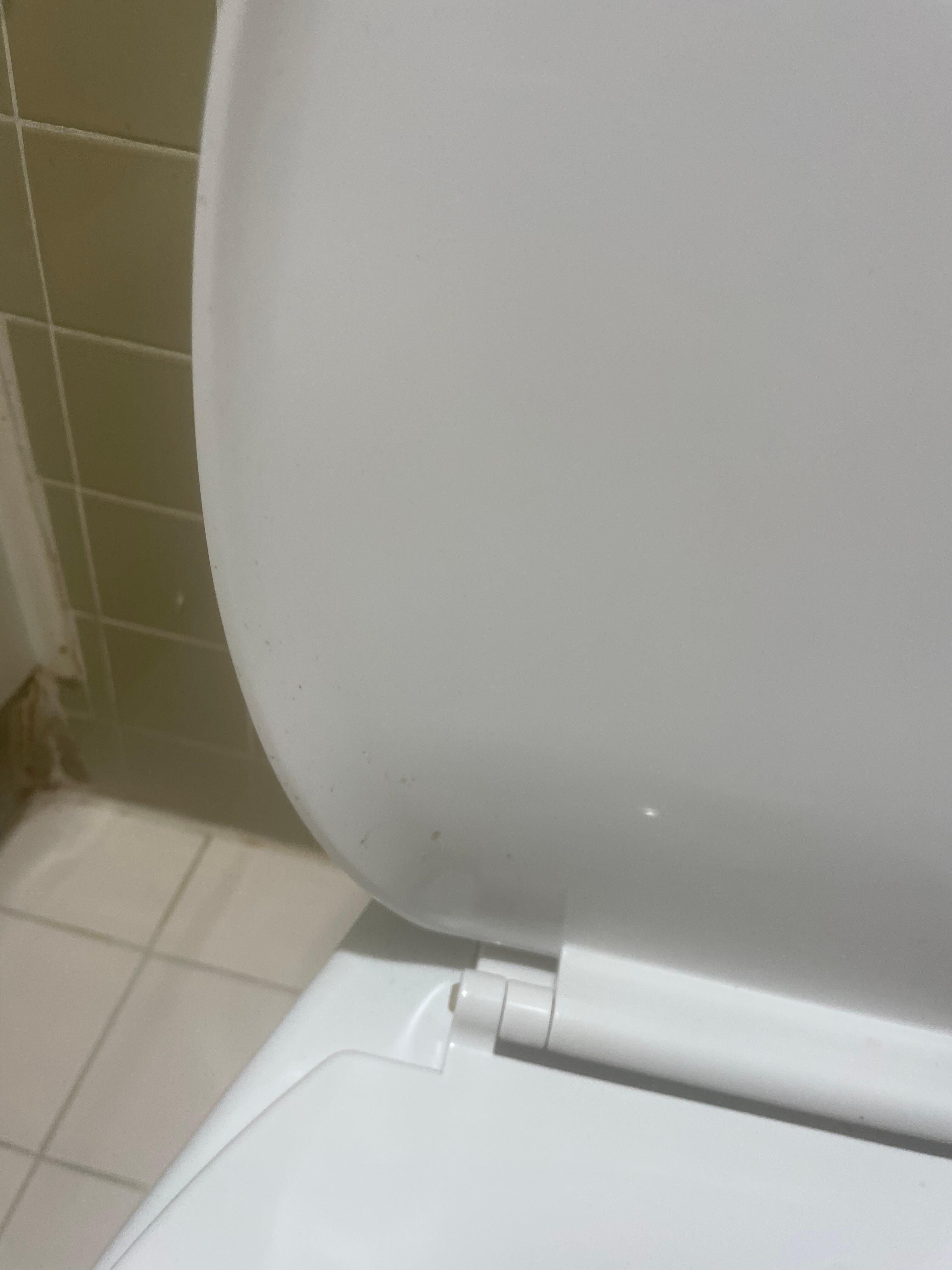Toilet was not clean