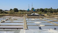 Visite des marais salant