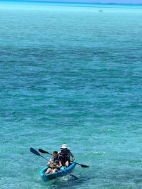 Sons kayaking and saw a turtle!