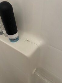 Hair chunk in the shower