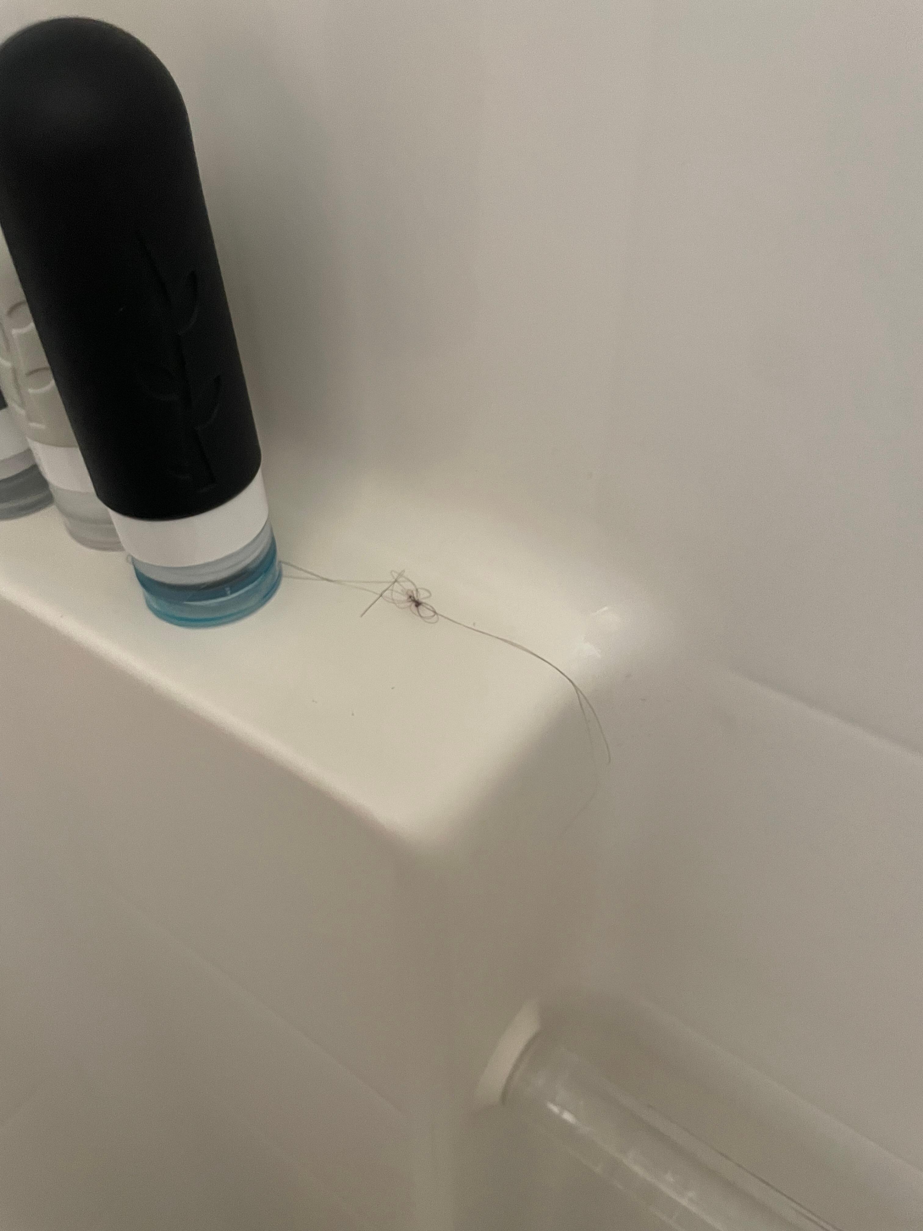 Hair chunk in the shower