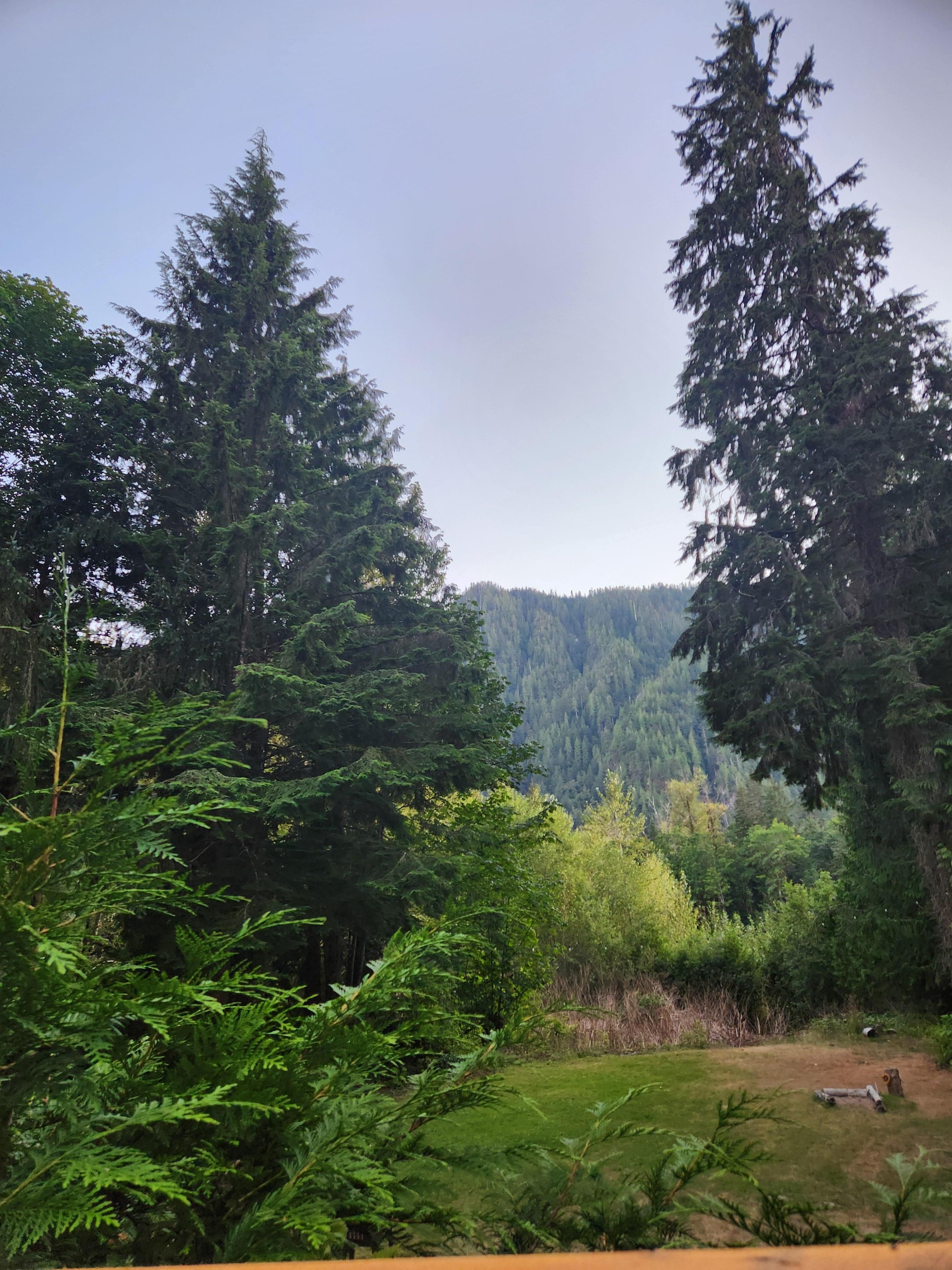 View from the porch jacuzzi