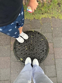 Pretty manhole cover