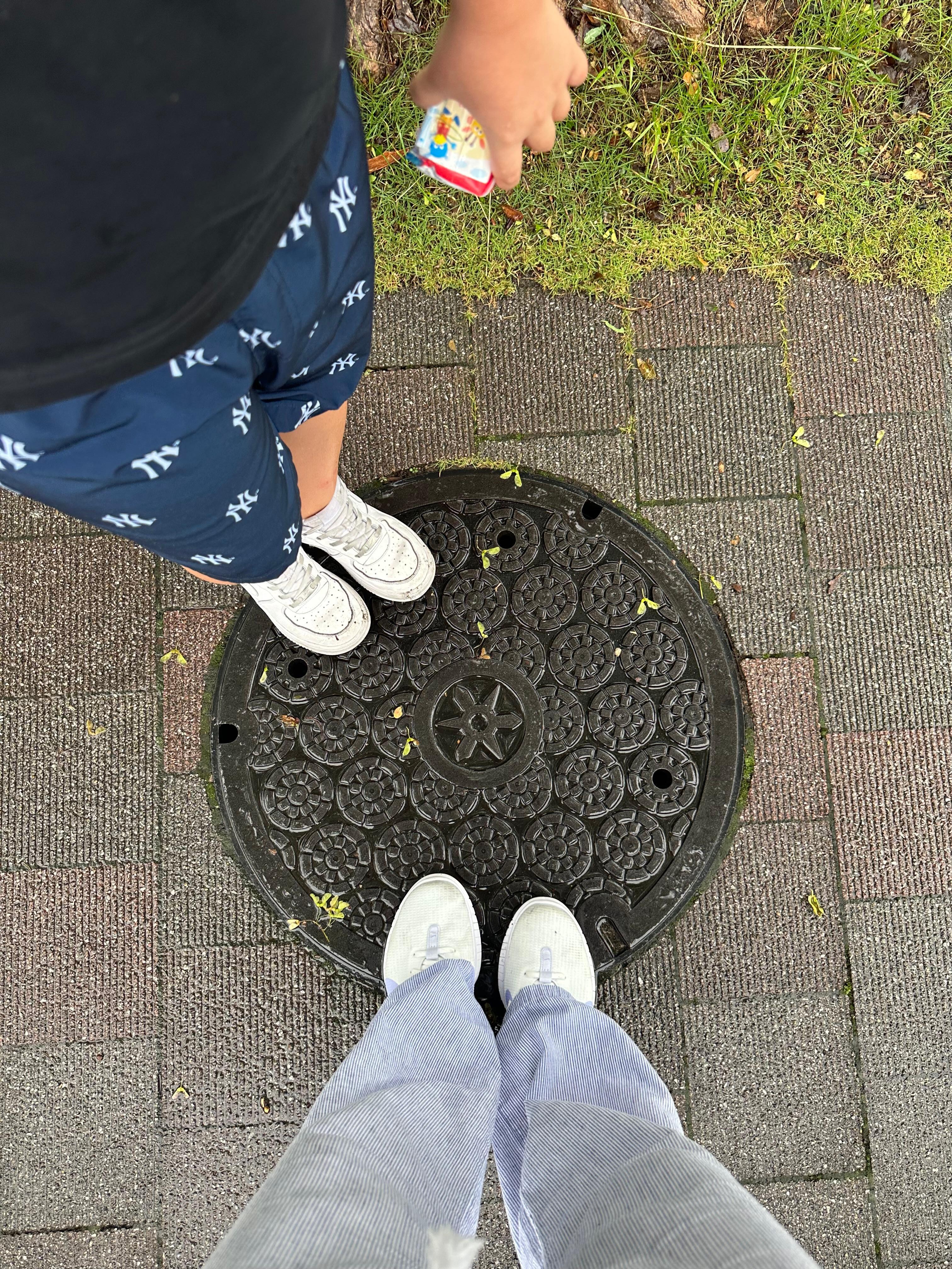 Pretty manhole cover
