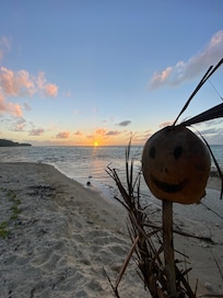 Wilson at the beach at sunset