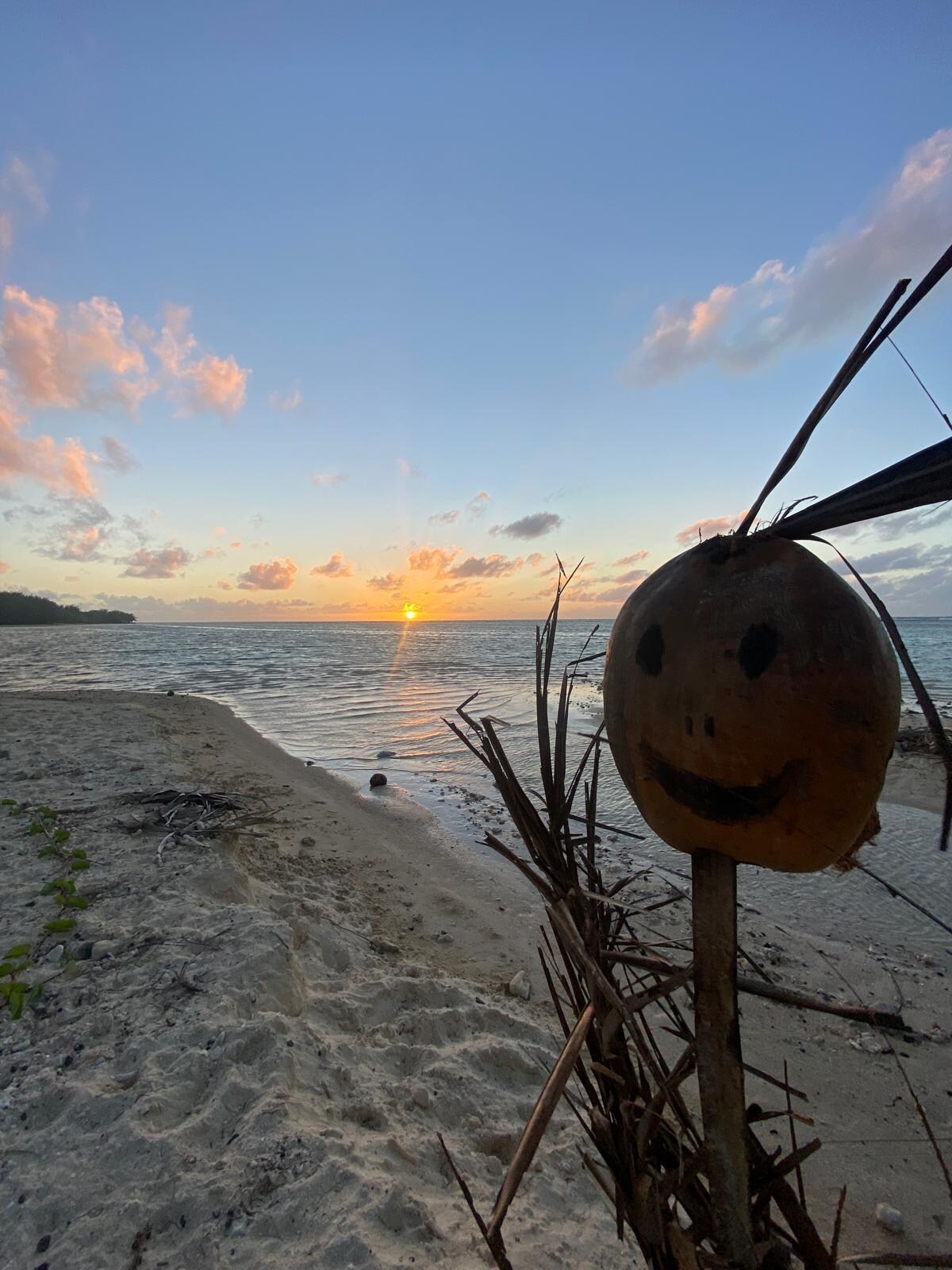 Wilson at the beach at sunset 