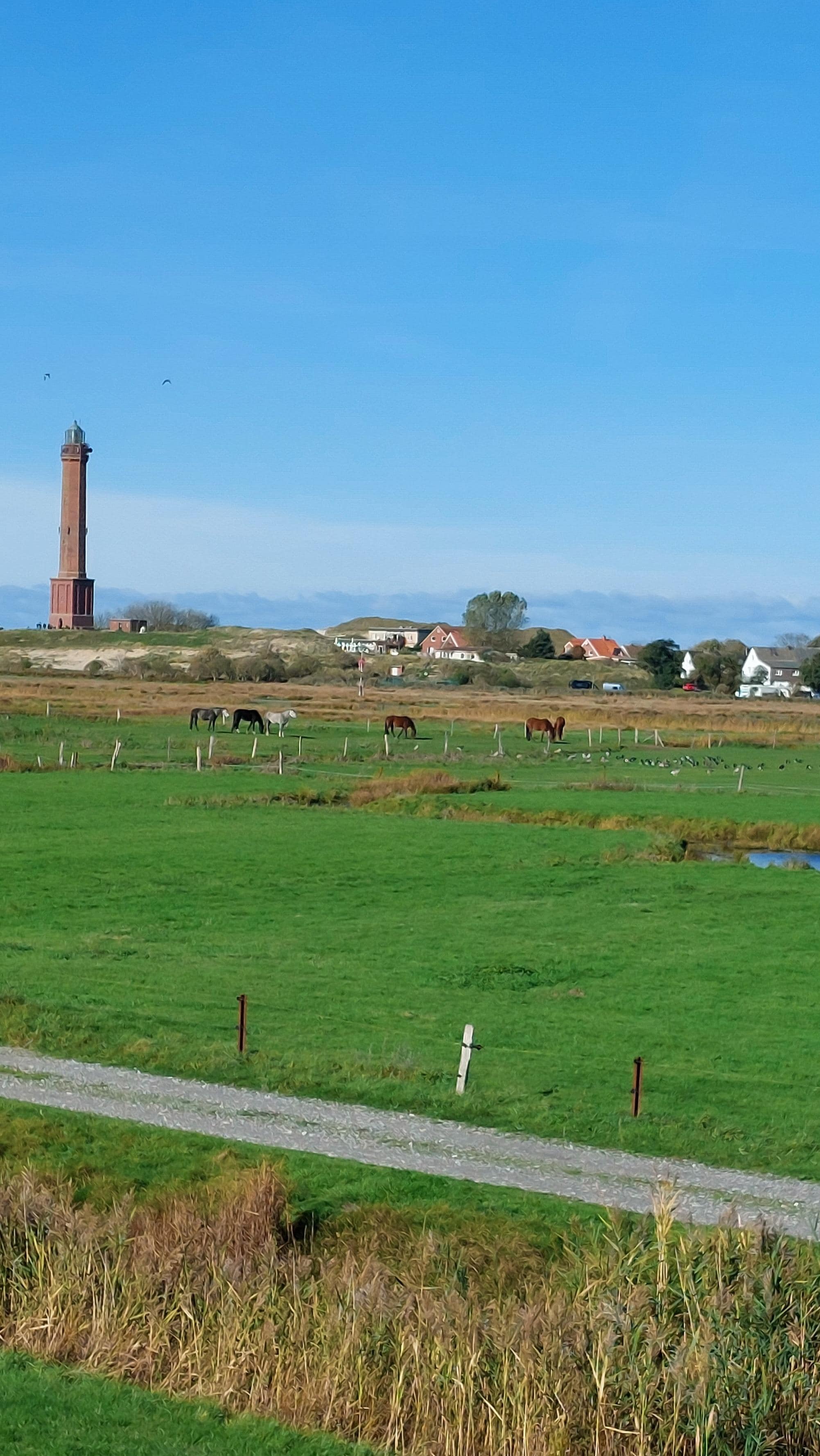 Neben dem Leuchtturm steht das Haus
