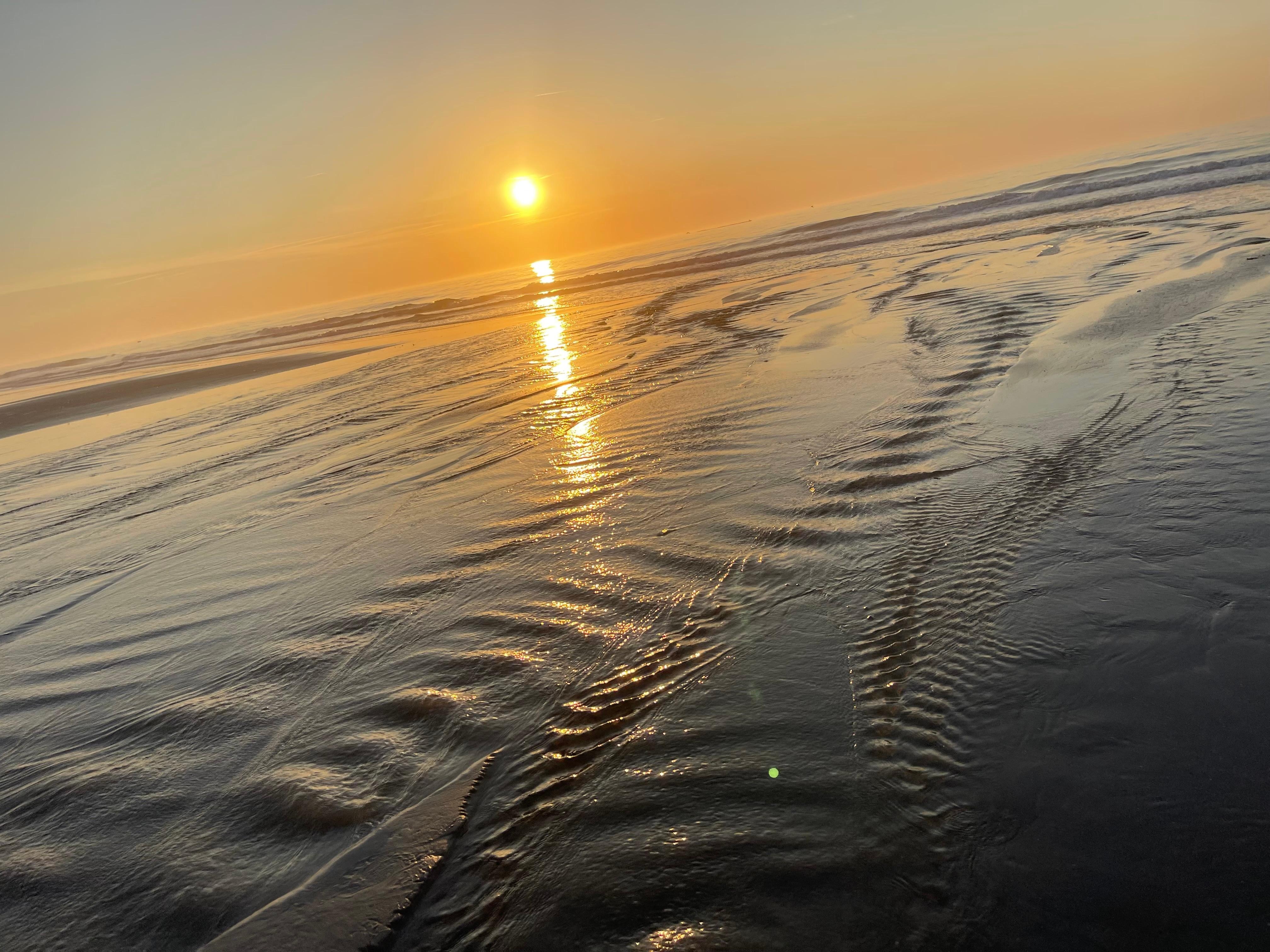Morning walk on beach!