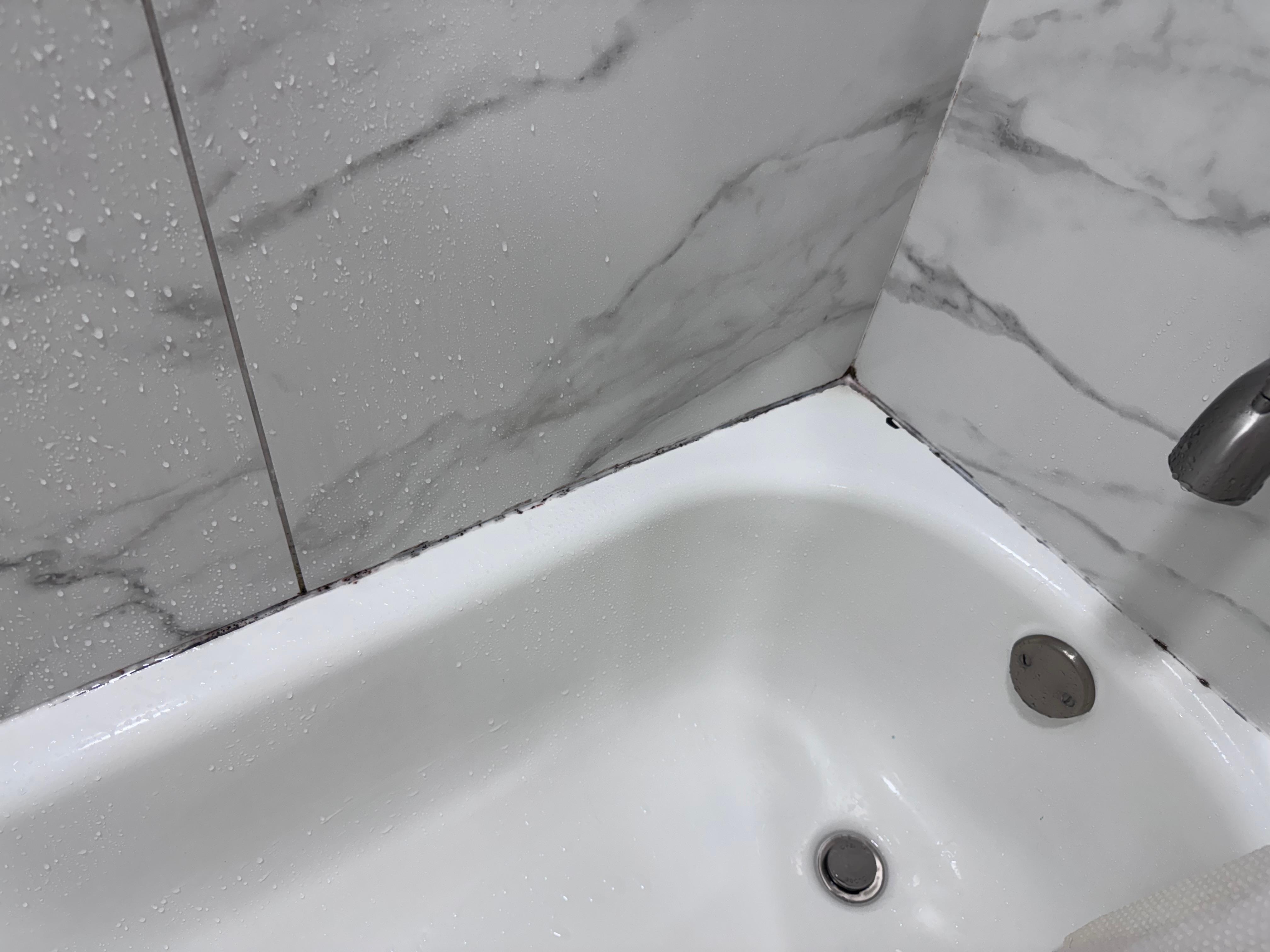Bathtub - mold where wall meets tub? 