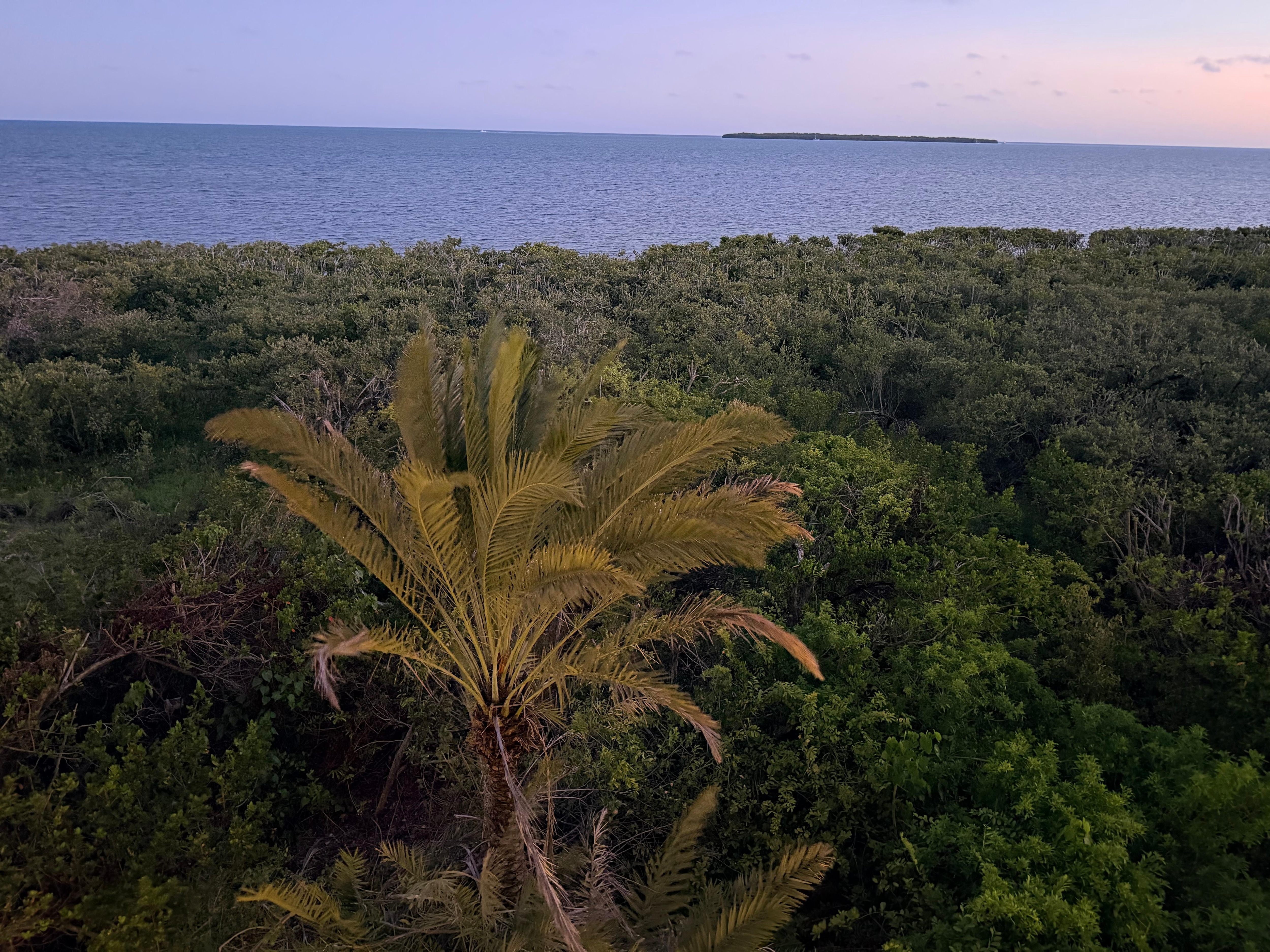View from balcony. 