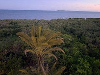 View from balcony.