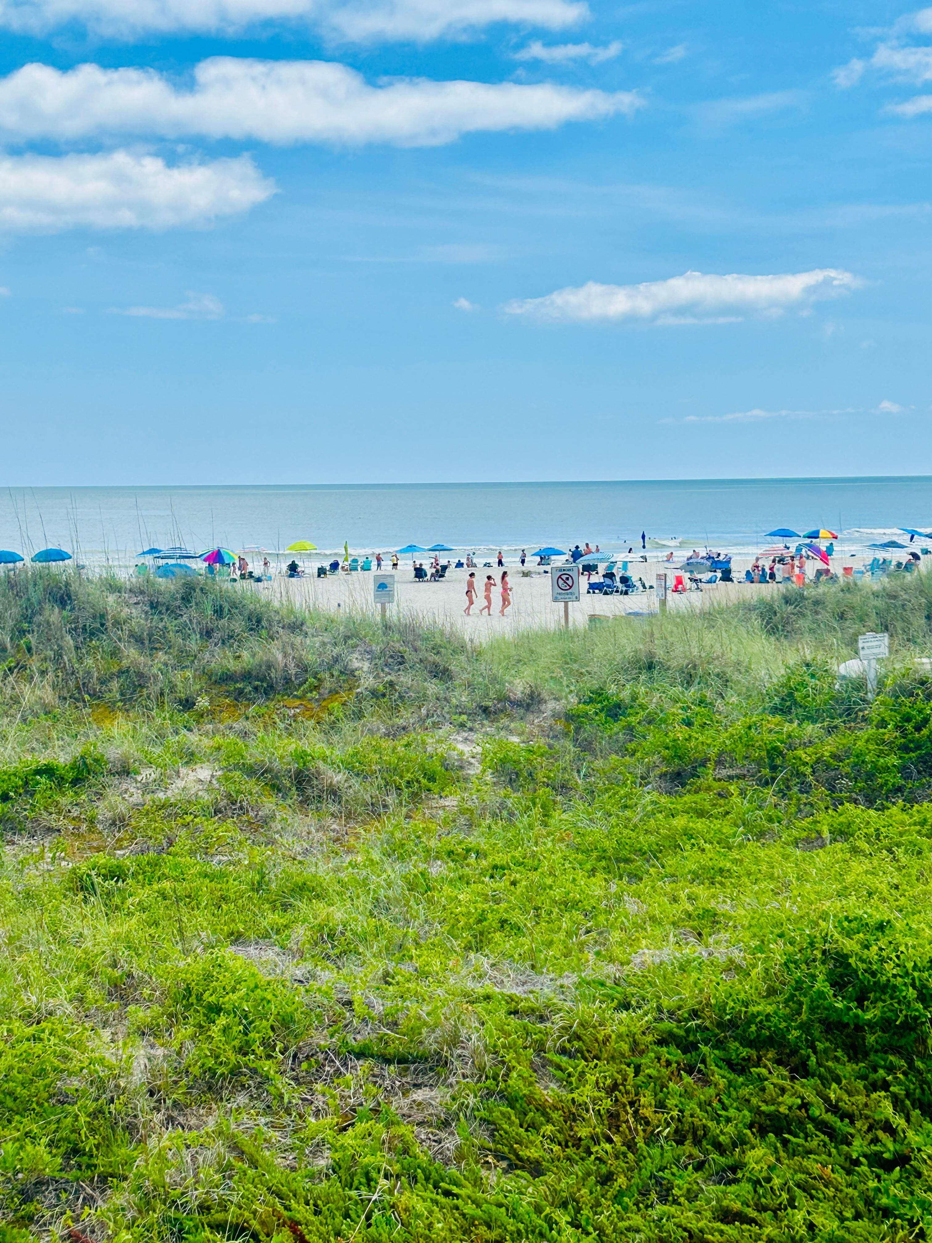 Photo from the bar on property! 