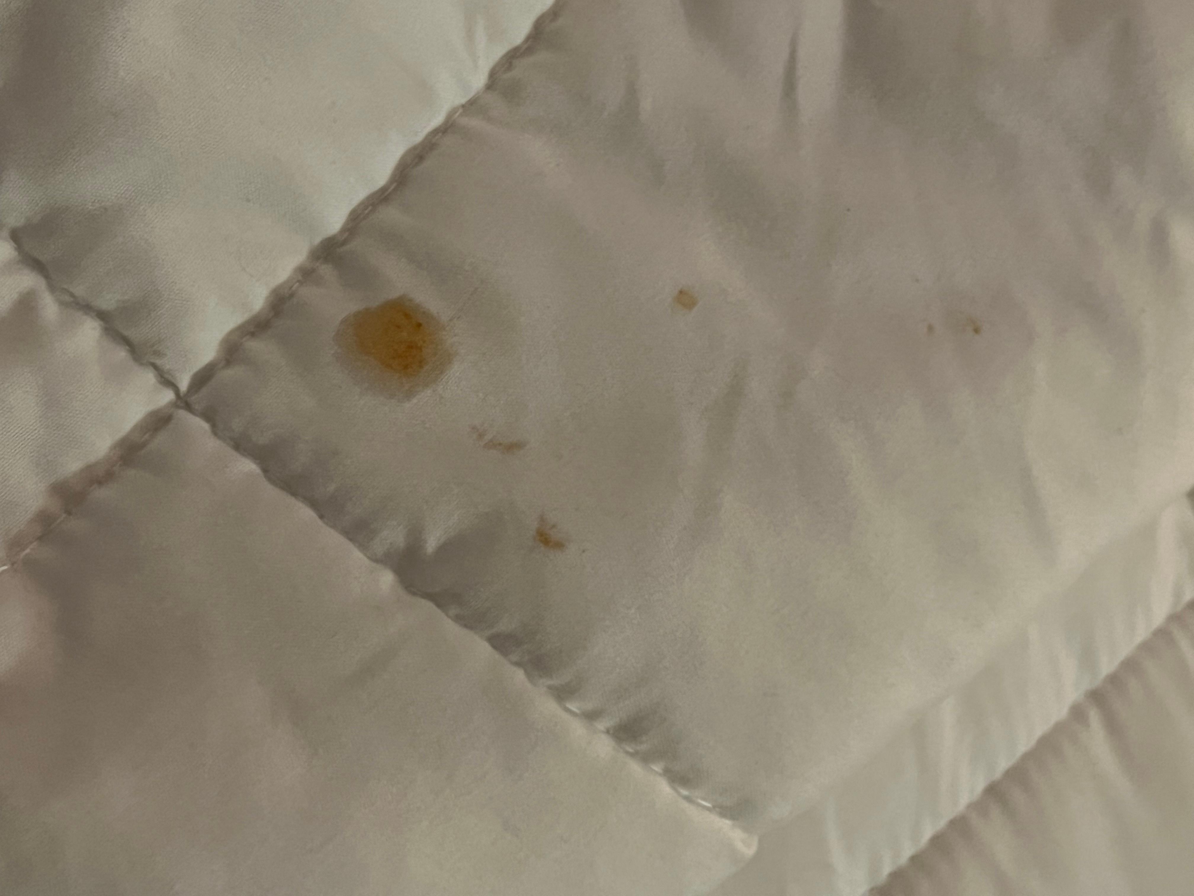 Nasty spot on comforter. Using my own throw. 