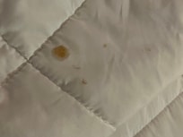 Nasty spot on comforter. Using my own throw.