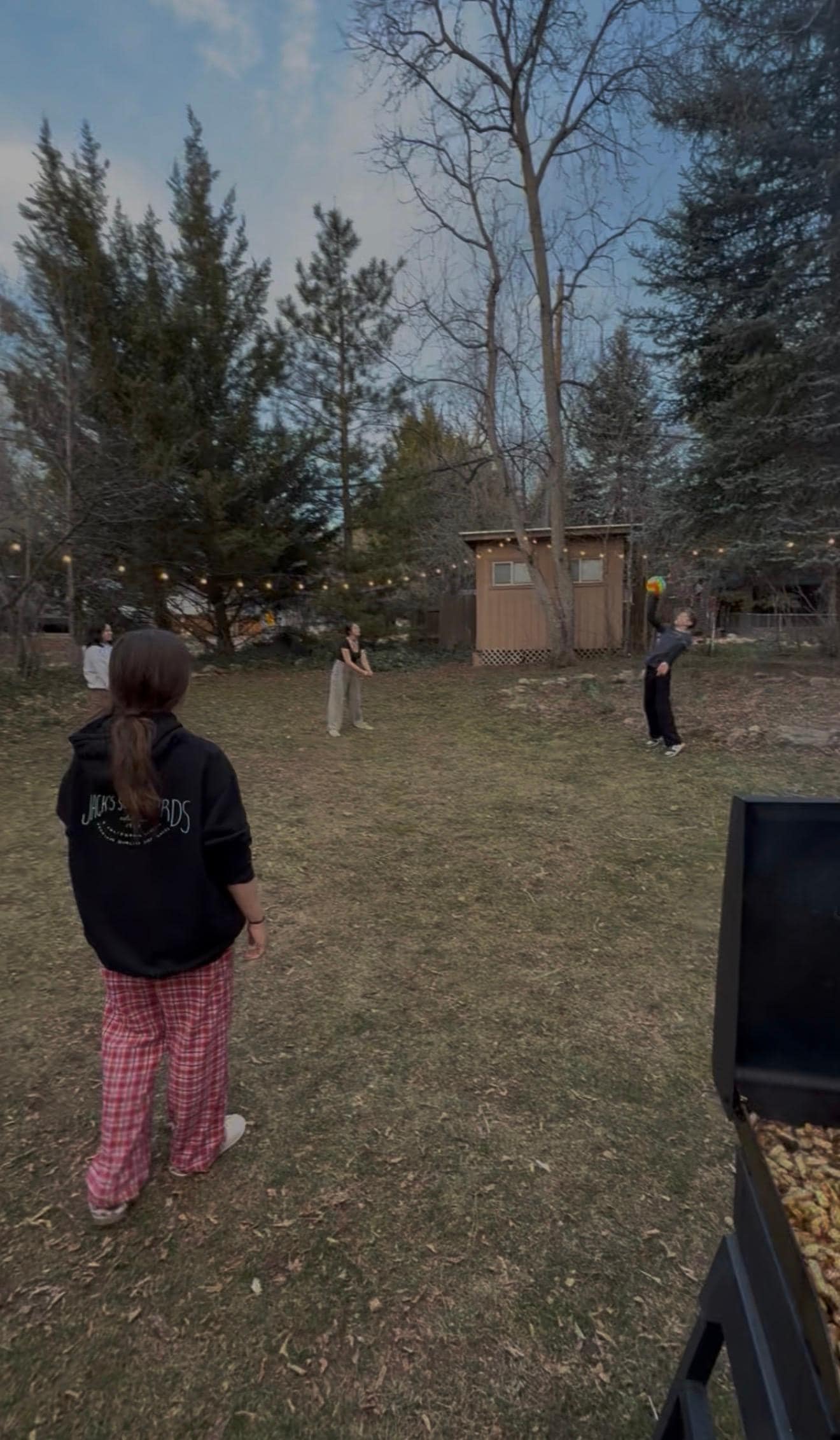 Cute little lights light up the yard at night and it looks beautiful 