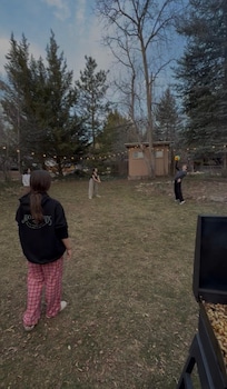 Cute little lights light up the yard at night and it looks beautiful