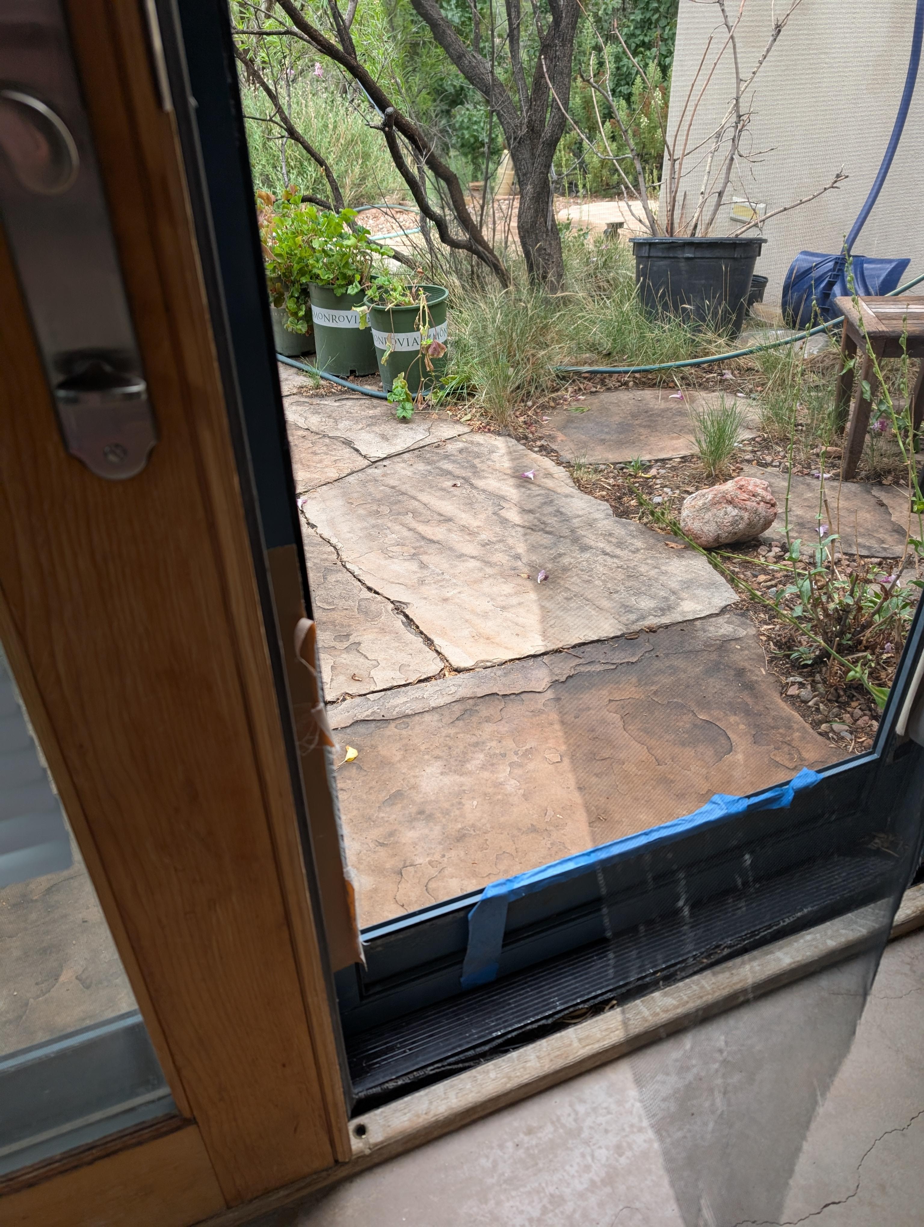 Ripped screen door. Previous painters tape repair fail.