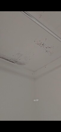 Mould above shower