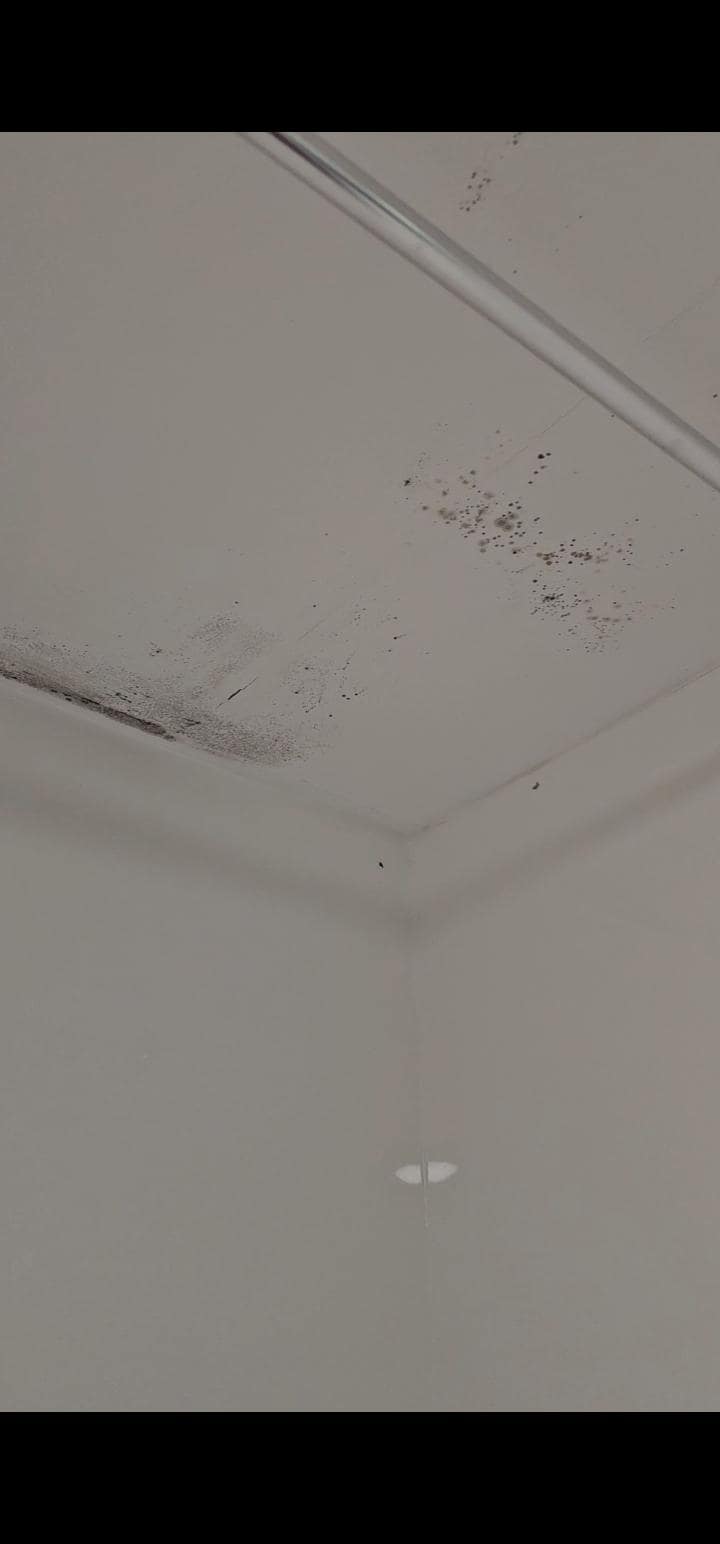 Mould above shower