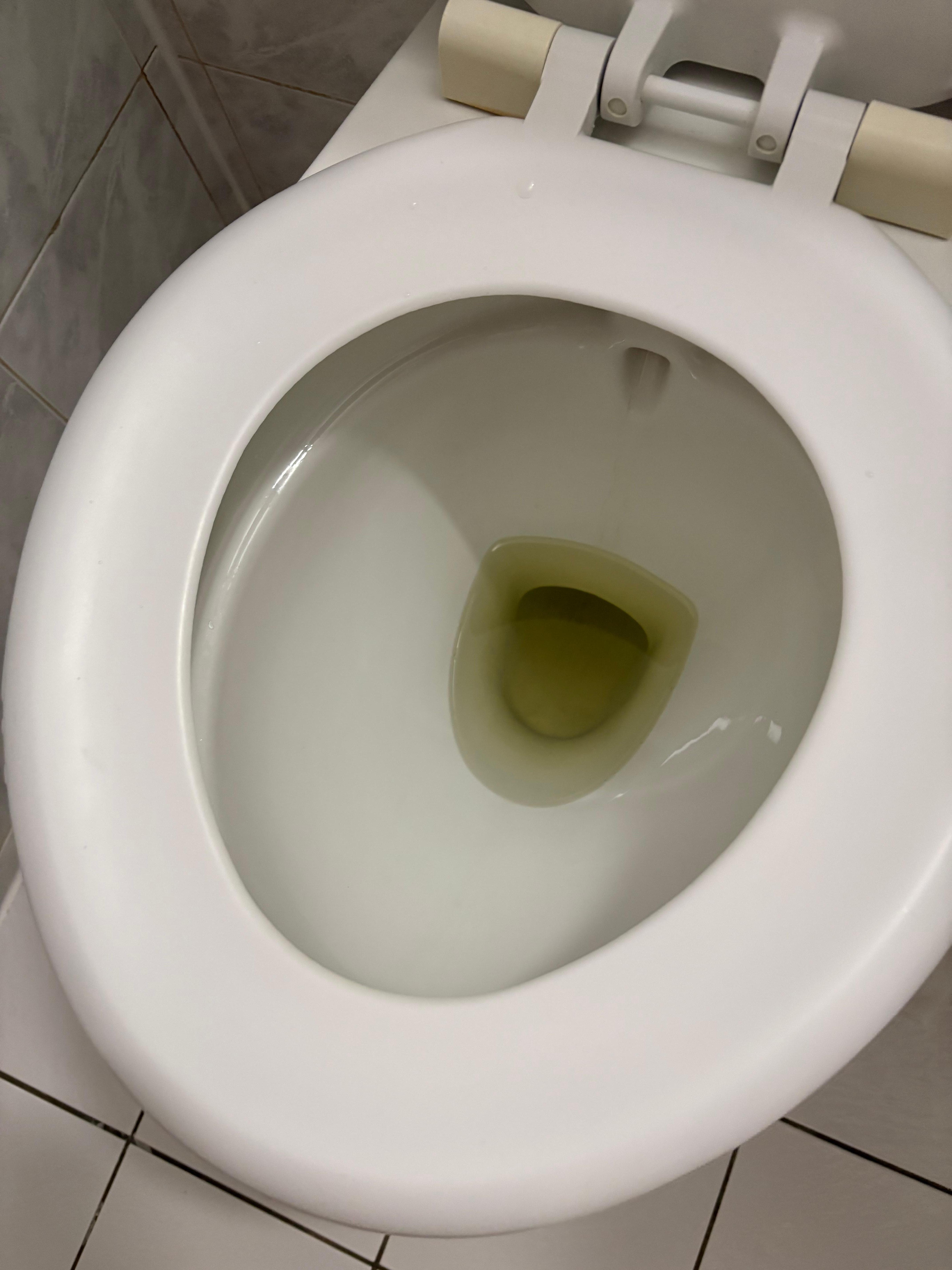 Toilet wouldn’t flush