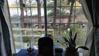 The view fron your luxury studio.