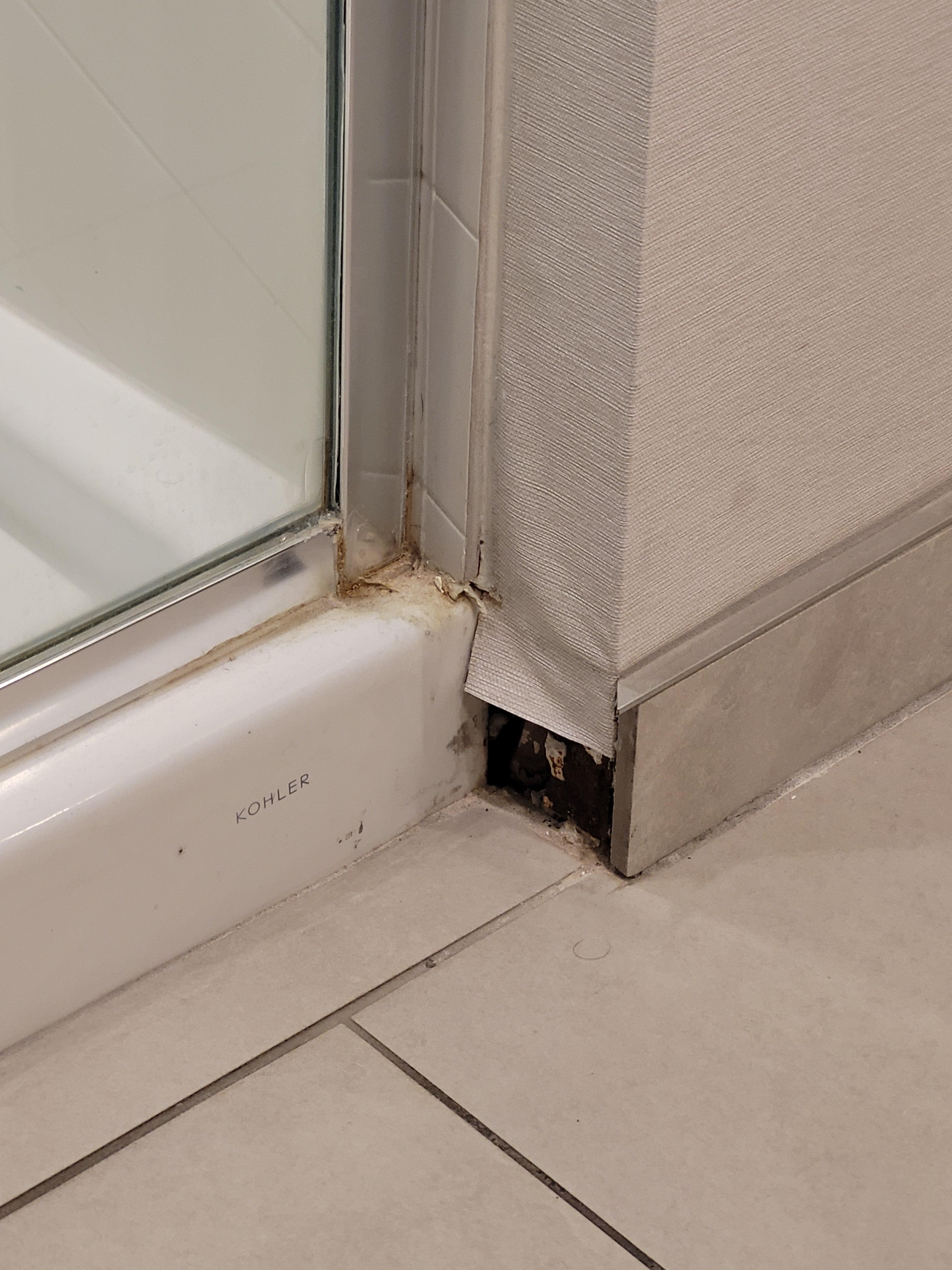 Molding needs replaced 